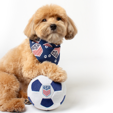 Load image into Gallery viewer, ChewSA Plush Soccer Ball