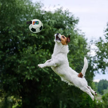 Load image into Gallery viewer, 2026 FIFA World Cup Soccer Ball Pet Toy