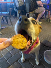 Load image into Gallery viewer, Bear's Maple Bacon Biscuits -  All Natural Home Baked Dog Treats