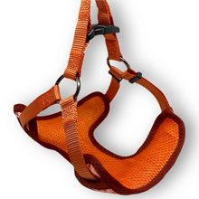 Load image into Gallery viewer, Collie-Flower Harness