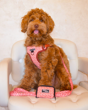 Load image into Gallery viewer, Collie-Flower Harness