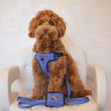 Load image into Gallery viewer, Don't Hound Me Harness