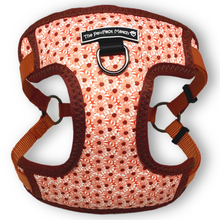 Load image into Gallery viewer, Collie-Flower Harness