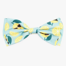 Load image into Gallery viewer, Lemons Bow Tie