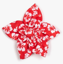 Load image into Gallery viewer, Aloha Flower