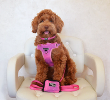 Load image into Gallery viewer, Playful Pawple Harness