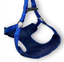Load image into Gallery viewer, Winter Blue Harness