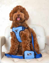 Load image into Gallery viewer, Winter Blue Leash