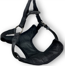 Load image into Gallery viewer, Plaid Pawty Harness