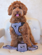 Load image into Gallery viewer, Plaid Pawty Harness