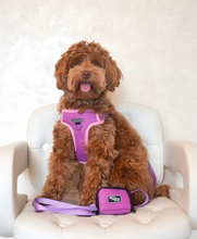 Load image into Gallery viewer, Royal Purple Leash