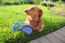 Load image into Gallery viewer, Don't Hound Me Leash