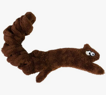 Load image into Gallery viewer, Springy Squirrel