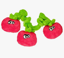 Load image into Gallery viewer, Tomatoes on the Vine