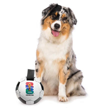Load image into Gallery viewer, 2026 FIFA World Cup Soccer Ball Pet Toy