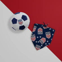 Load image into Gallery viewer, ChewSA Plush Soccer Ball