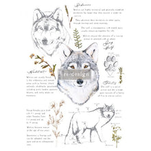 Load image into Gallery viewer, Gray Wolf - Transfers