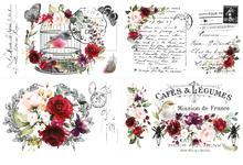 Load image into Gallery viewer, Cage a Oiseaux Hokus Pokus Image Transfer