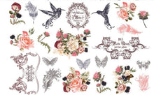 Load image into Gallery viewer, Jardin D'Oiseaux Hokus Pokus Image Transfer