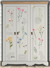 Load image into Gallery viewer, Herbs and Spices Hokus Pokus Image Transfer