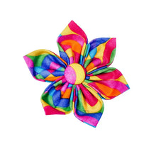 Load image into Gallery viewer, Rainbow Circles Dog Collar Flower
