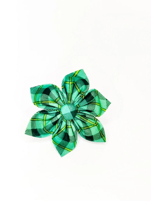 Paddy's Plaid Dog Collar Flower