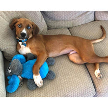 Load image into Gallery viewer, Duraplush Moose Dog Toy
