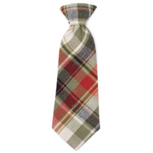 Load image into Gallery viewer, Olive Multi Plaid Neck Tie
