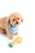 Load image into Gallery viewer, Floofa World Cup Trophy Dog Toy
