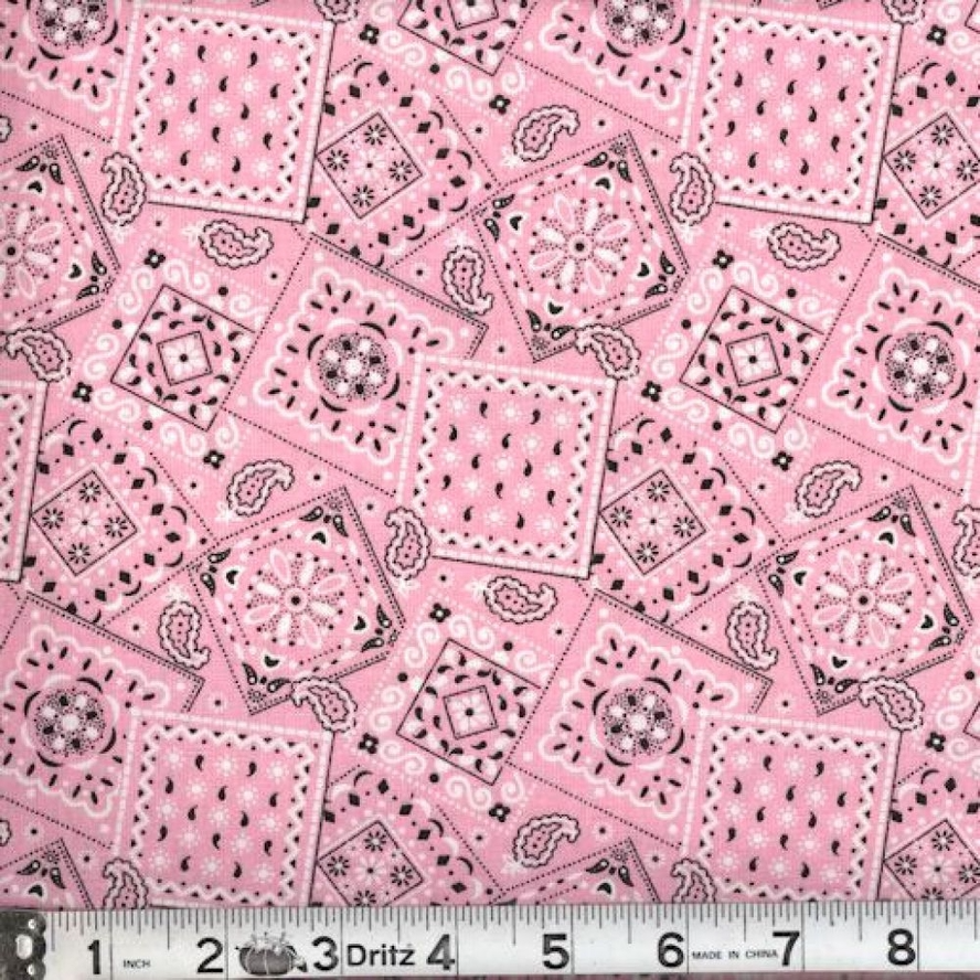 Traditional Paisley Print Tie-On Bandana (Pink)