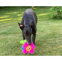 Load image into Gallery viewer, Duraplush Unstuffed Potted Flowers Dog Toy
