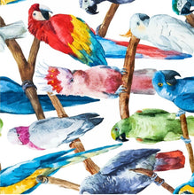 Load image into Gallery viewer, Birds Decoupage Paper - Dixie Belle
