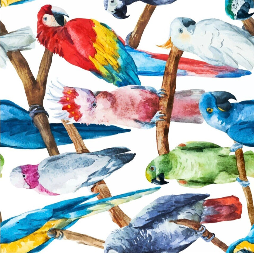 Birds Decoupage Paper - Dixie Belle