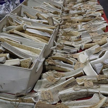 Load image into Gallery viewer, Giant Elk Antler
