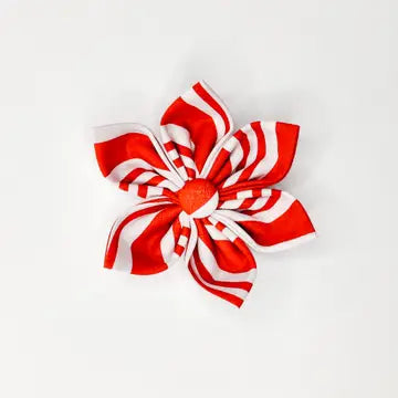 Candy Cane Stripe Dog Collar Flower