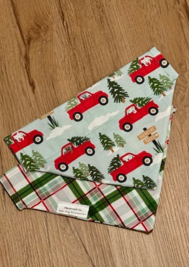 Paws & Pine Reversible Collar Bandana