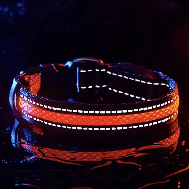 Led Dog Collar