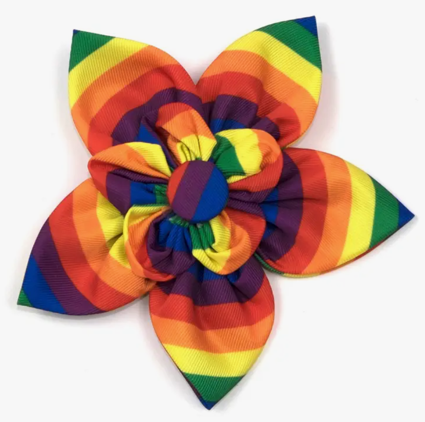 Rainbow Flower