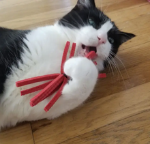 Load image into Gallery viewer, Starfish Cat Toy
