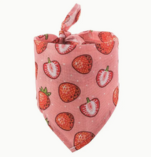 Load image into Gallery viewer, Cartoon Fruit Pattern Towel, Dog/Cat Triangle Scarf (Rosen)
