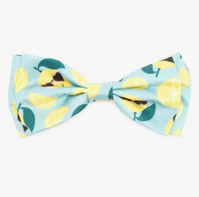 Load image into Gallery viewer, Lemons Bow Tie
