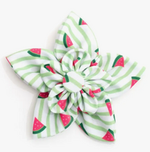 Load image into Gallery viewer, Stripe Watermelon Flower
