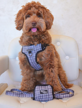 Load image into Gallery viewer, Plaid Pawty Harness
