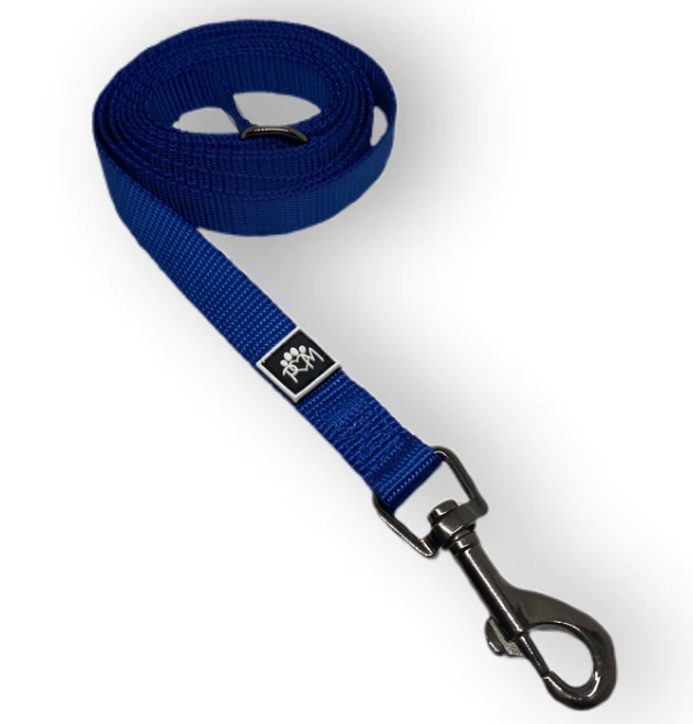 Winter Blue Leash