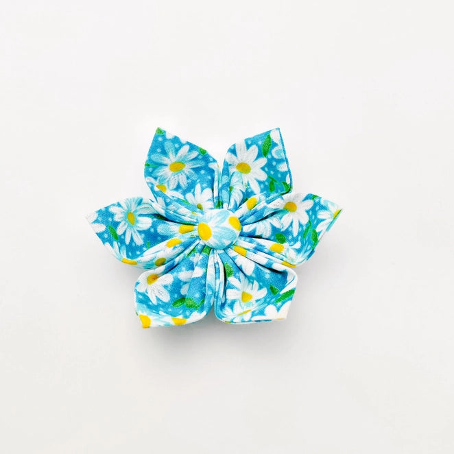 Aqua Daisy Dog Bow Tie