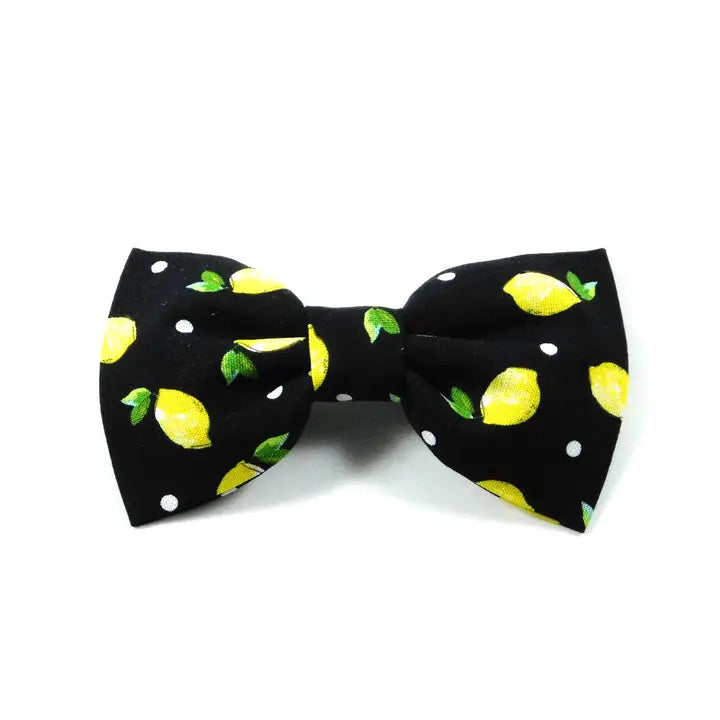 Lemons on Black Dog Bow Tie