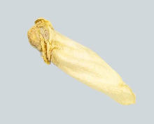 Load image into Gallery viewer, Cow Ear

