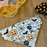 Halloween Collar Bandana