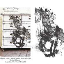 Load image into Gallery viewer, Majestic Horse Charcoal Hokus Pokus Image Transfer
