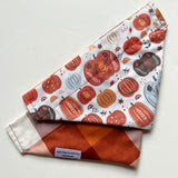 Pumpkin Patch Reversible Collar Bandana